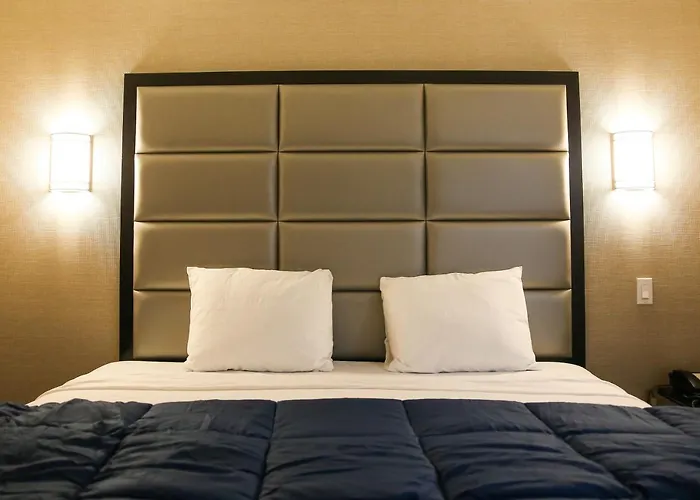 Vybe Hotel